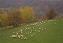 Srakovcic Heart of Nature Rural Retreat