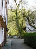 Le Moulin des Templiers