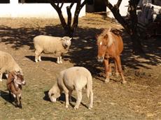 Quinta De Santa Maria D' Arruda - Hotel Rural