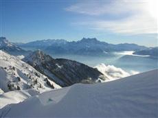 Chalet Ermina Hotel Leysin