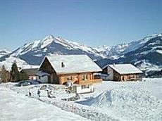 Chalet Ermina Hotel Leysin