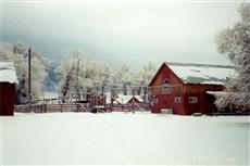 Hansen Silver Guest Ranch