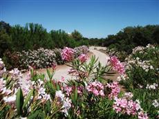 Agriturismo Rocce Bianche