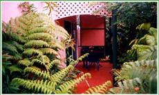 Rainforest Motel