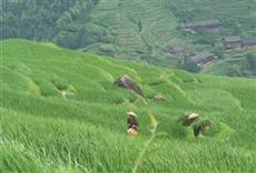 Long Ji International Youth Hostel Guilin