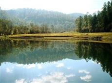 Parque Natural Los Manantiales