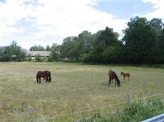 Bondestugan Bondarve Burs Cottages