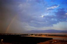 Korin's At the Dead Sea