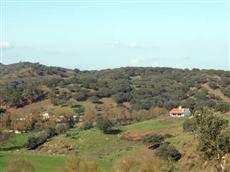 Herdade Ribeira de Borba