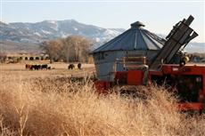 Hampton Inn Richfield (Utah)