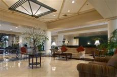 Hilton Palm Beach Airport