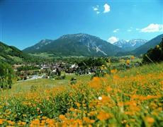 Hotel Alpina Garni