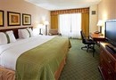 Holiday Inn Buffalo International Airport