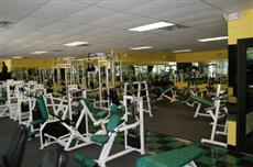 Hampton Inn Pickwick Dam Counce