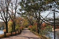 Hampton Inn Chicago Naperville