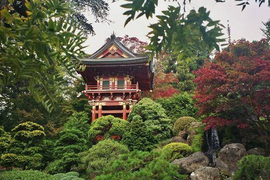 Японский сад в парке