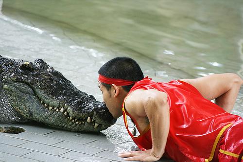Крокодилова ферма в Таиланде