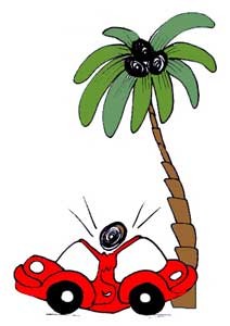 Машину как положено страхуют, но предупреждают, что ее нельзя ставить под кокосовой пальмой.